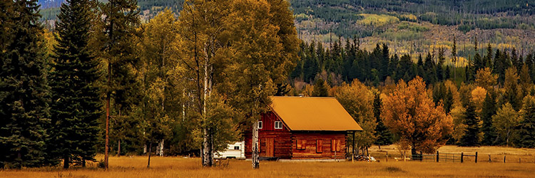 Work and Travel Colorado