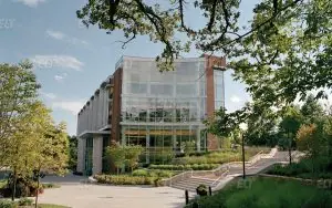 Webster University
