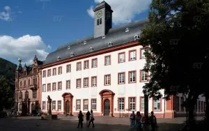 Heidelberg Üniversitesi