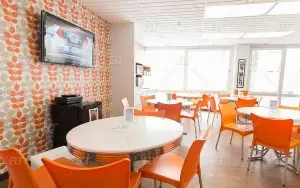 EC English Montreal