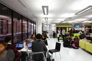 Bristol Üniversitesi