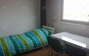 BWS Germanlingua Köln