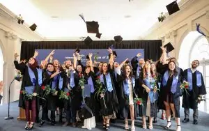 Whitecliffe University of Applied Sciences (Berlin International University of Applied Sciences)