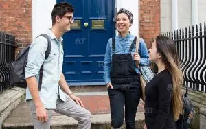 Delfin English School Dublin