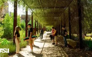 Arizona State University