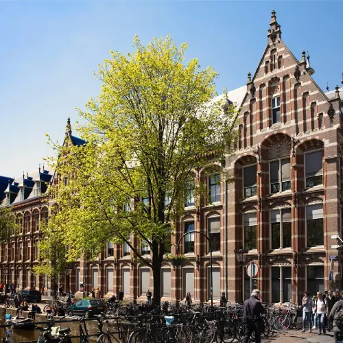 Yağız Yasin – Amsterdam Üniversitesi