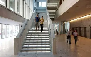 Bocconi Üniversitesi