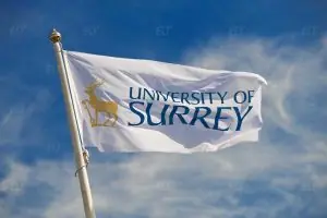 University of Surrey