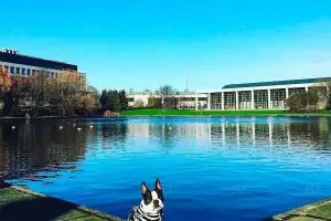 University College Dublin