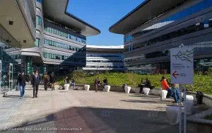 Torino Üniversitesi