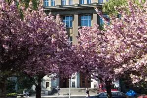Prag Kimya ve Teknoloji Üniversitesi