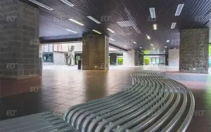 Roma Tor Vergata Üniversitesi