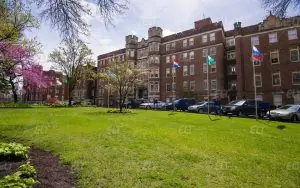 Webster University