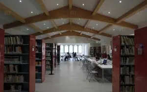 Pisa Üniversitesi