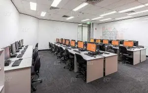 EC English Sydney