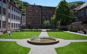 Heidelberg Üniversitesi