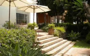Enforex Malaga