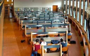Siena Üniversitesi