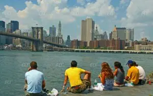 LSI New York