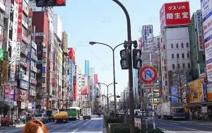 Genki Tokyo Dil Okulu