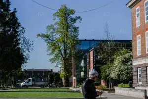 Middlesex University