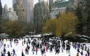 LSI New York