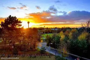 University College Dublin