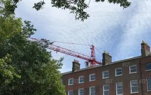 Frances King Dublin