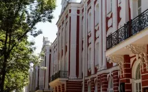 St. Petersburg Üniversitesi