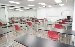 Toronto School of Management