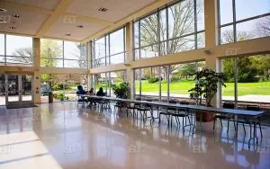 Webster University