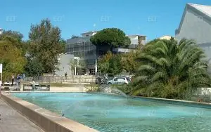Roma Tor Vergata Üniversitesi