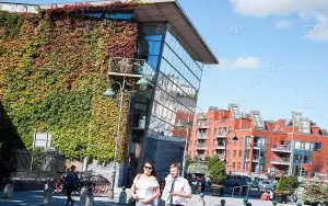 Cork English Academy