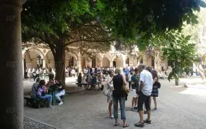 Pavia Üniversitesi