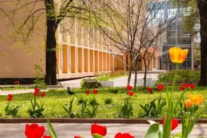 Odessa Milli Politeknik Üniversitesi