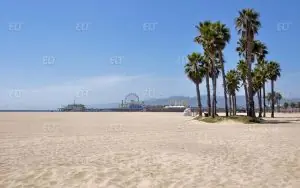CEL Los Angeles