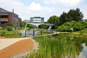 IBS International Business School