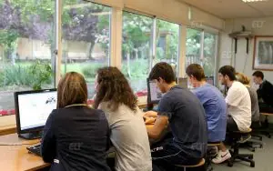 Wimbledon School of English