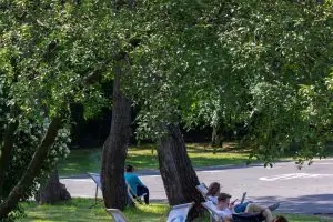 Varşova Kozminski Üniversitesi