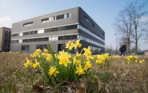 Brandenburg Teknik Üniversitesi (BTU Cottbus)