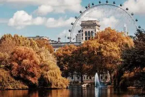 University of Westminster