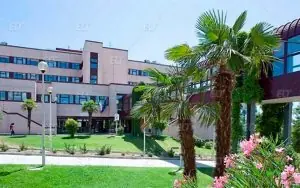 Roma Tor Vergata Üniversitesi