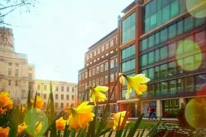 Birkbeck University of London
