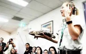 Astley English College Sydney Dil Okulu