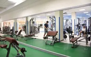 Cassino Üniversitesi