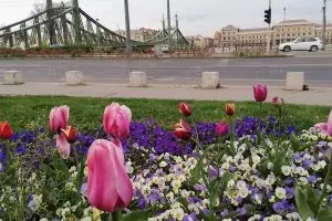 Budapeşte Eötvös Loránd Üniversitesi (ELTE)