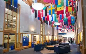 Webster University