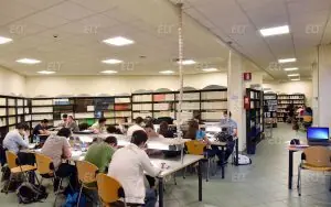Cassino Üniversitesi