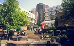 Paderborn Üniversitesi