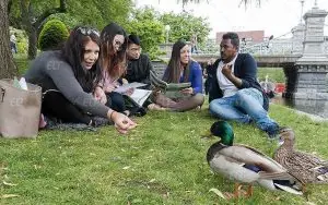 EC English Boston